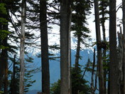 Olympic National Park