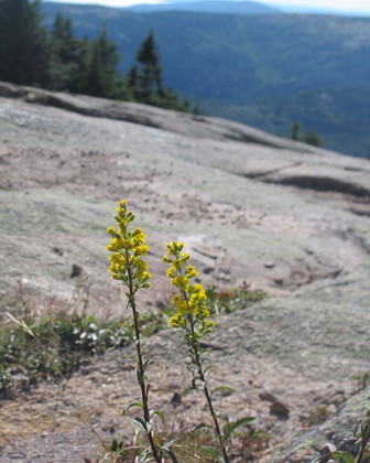 Acadia National Park