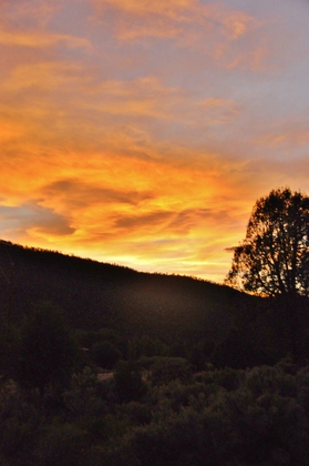 Carson National Forest 