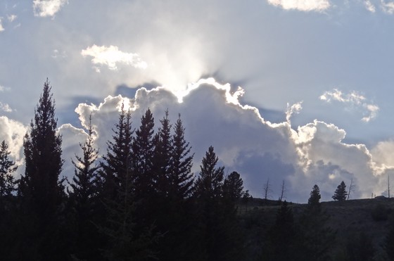 Yellowstone National Park