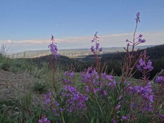Yellowstone National Park