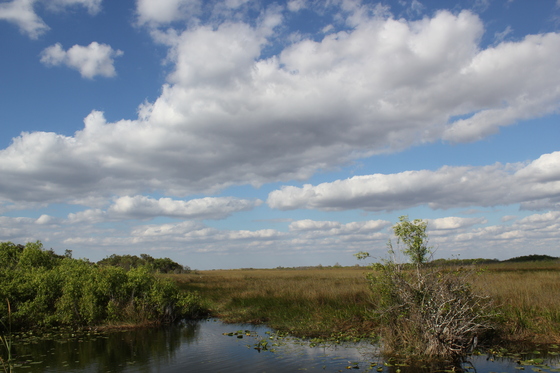 Everglades National Park