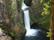 Umpqua National Forest