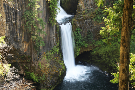 Umpqua National Forest