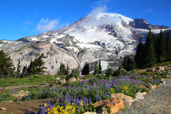 Mt. Rainier National Park