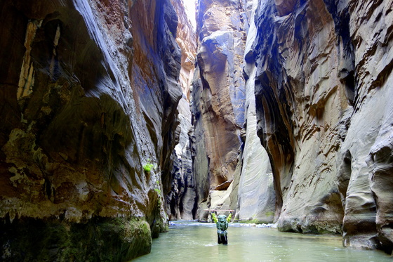 Zion National Park 