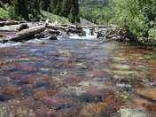White River National Forest