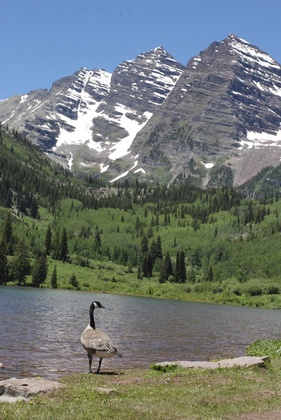 White River National Forest