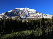 Mt Ranier National Park
