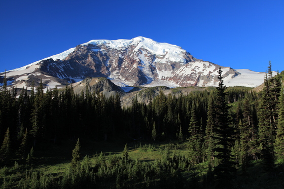 Mt Ranier National Park