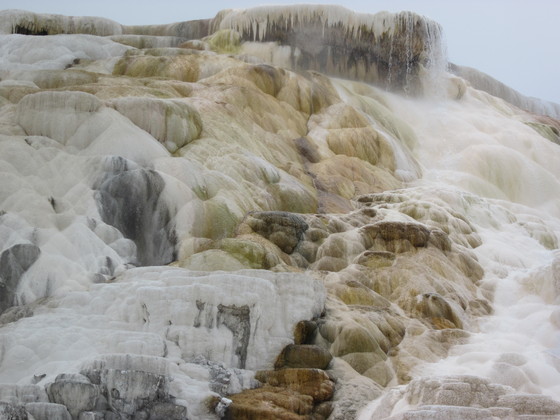 Yellowstone National Park