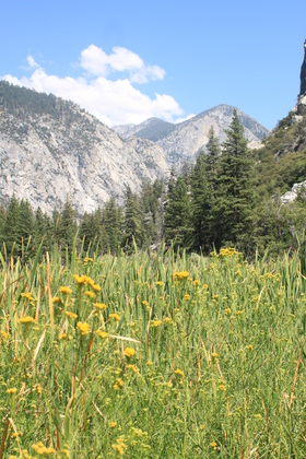 Kings Canyon National Park