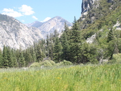 Kings Canyon National Park