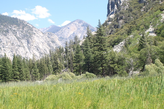 Kings Canyon National Park