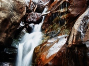 White River National Forest