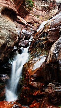 White River National Forest