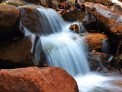 White River National Forest