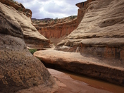 White Canyon and Long Canyon junction, BLM