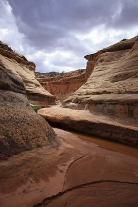 White Canyon and Long Canyon junction, BLM