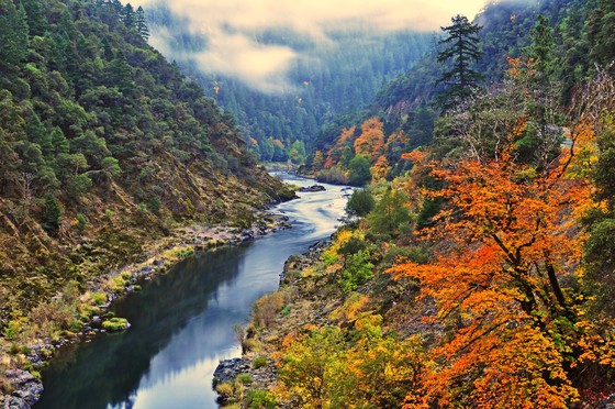 Rogue River- Siskiyou national Forest