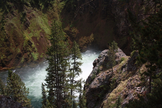 Yellowstone National Park