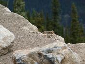 Rocky Mountain National Park