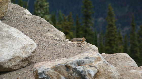 Rocky Mountain National Park