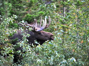 Glacier National Park