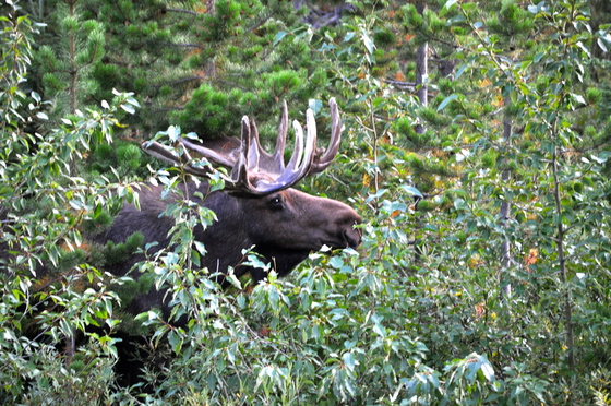 Glacier National Park