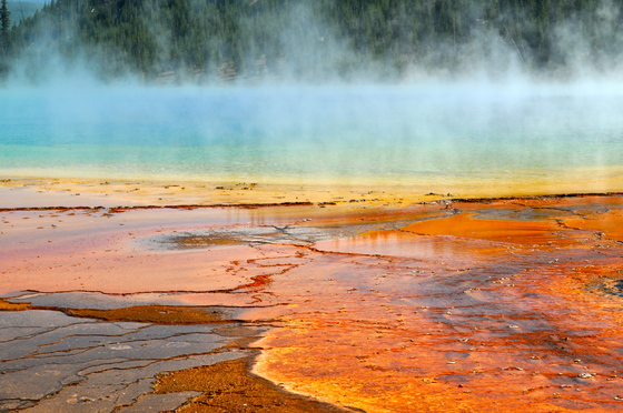 Yellowstone National Park