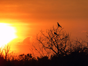 Assateague Island National Seashore