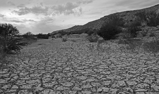 Big Bend National Park