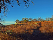 Big Bend National Park