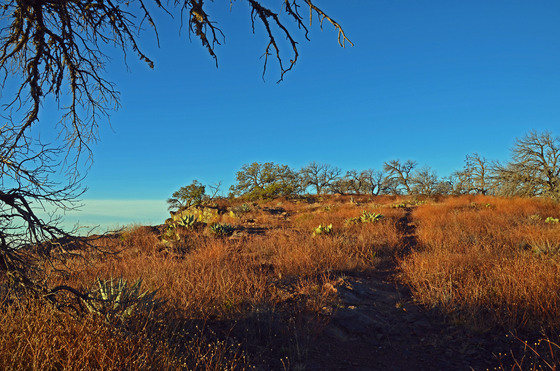 Big Bend National Park