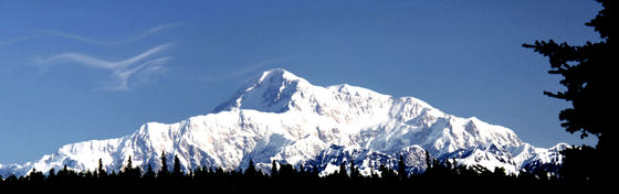 Denali National Park