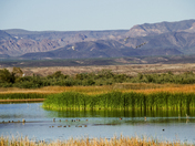 Havasu National Wildlife Refuge