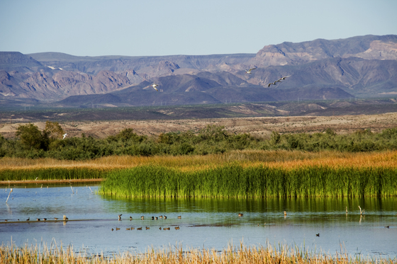 Havasu National Wildlife Refuge