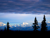 Denali National Park