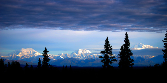 Denali National Park