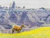 Badlands National Park