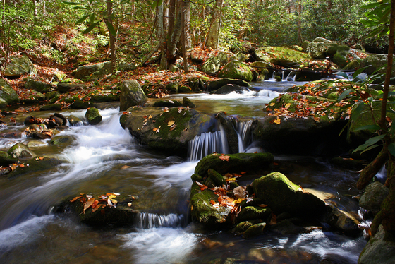 Great Smoky Mountains National Park