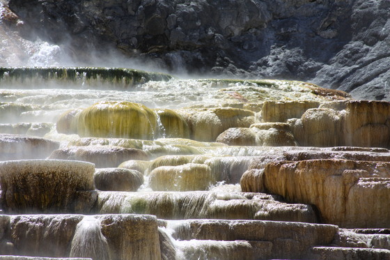 Yellowstone National Park