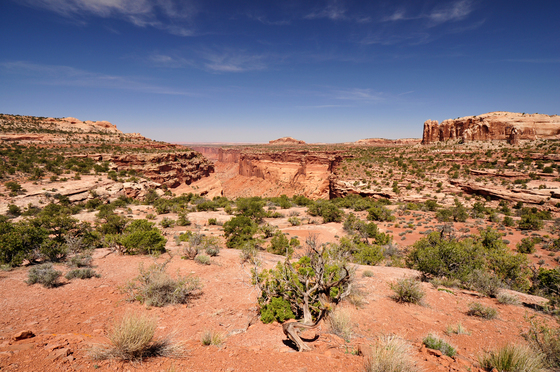 Canyonlands National Park