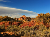 Zion National Park