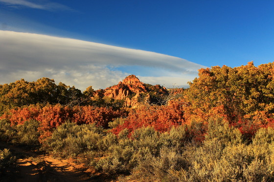 Zion National Park
