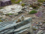 Glacier National Park