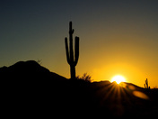 Tonto National Forest
