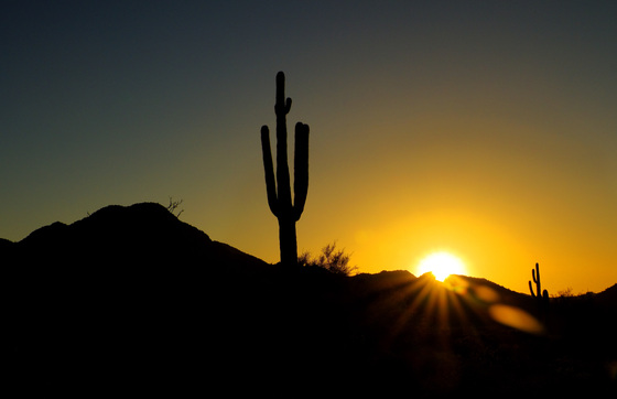 Tonto National Forest