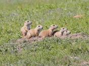 Wichita Mountains Wildlife Refuge