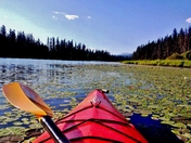 Lolo National Forest